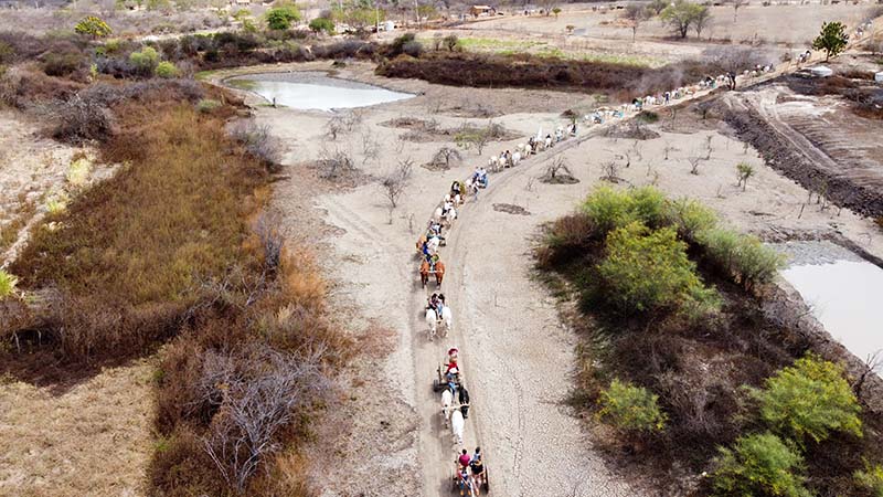 Desfile de Carro de Boi atraí grande público e carreiros em Rio do Antônio