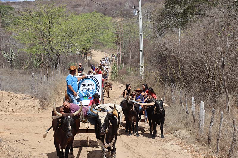 Desfile de Carro de Boi atraí grande público e carreiros em Rio do Antônio