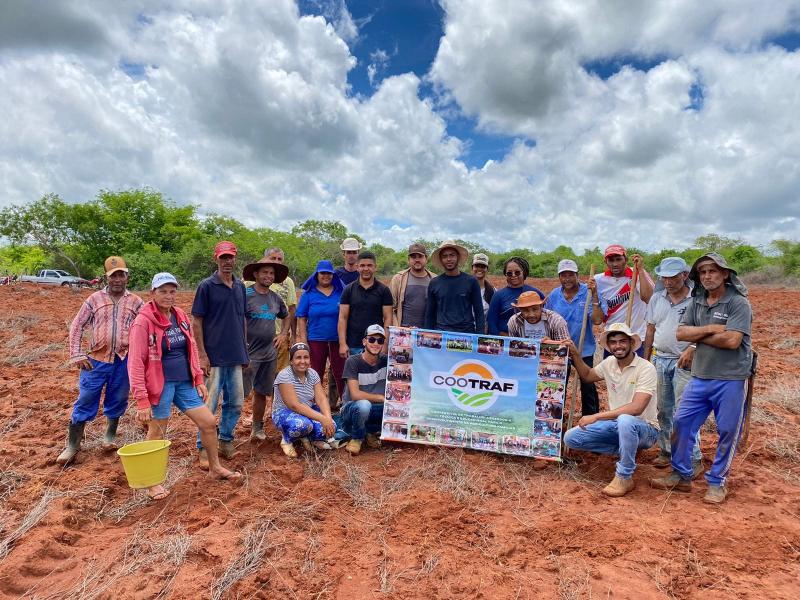 Projeto do governo de Guajeru e UESB realiza mais uma etapa do cultivo de mandioca na Comunidade de Humaitá