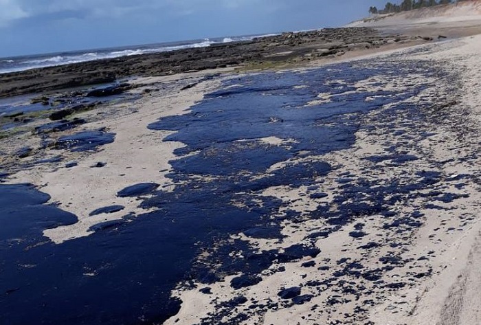 Exército vai reforçar ações em praias atingidas por óleo