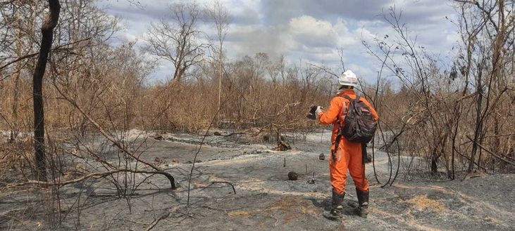 Operação Bahia Sem Fogo mantém esforços no combate aos incêndios