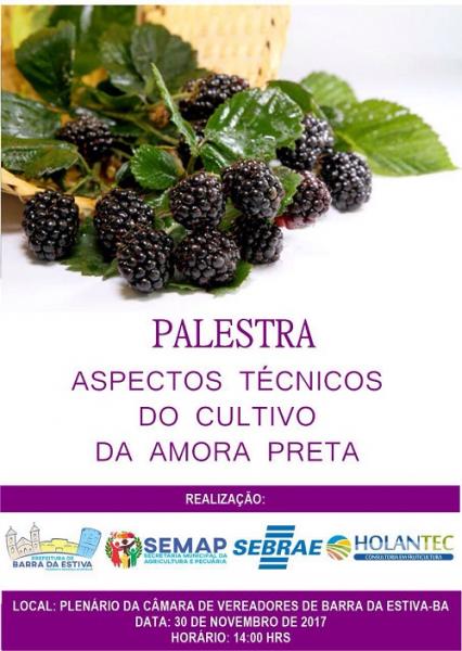 Palestra sobre o cultivo da amora-preta será realizada em Barra da Estiva; saiba mais