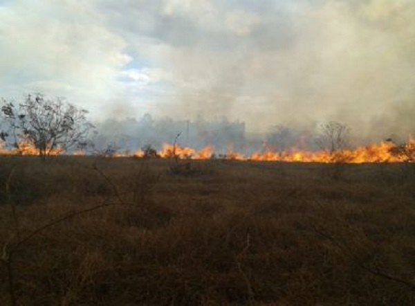 Conquista: Incêndio de grande proporção atinge área próxima da Uesb