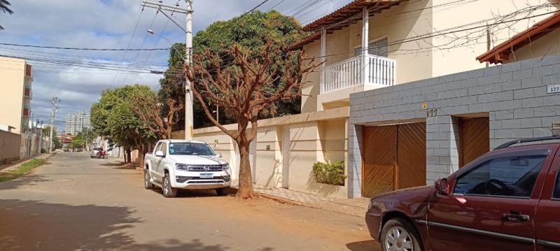 Brumado: Secretaria de Meio Ambiente alerta para podas drásticas praticadas em árvores