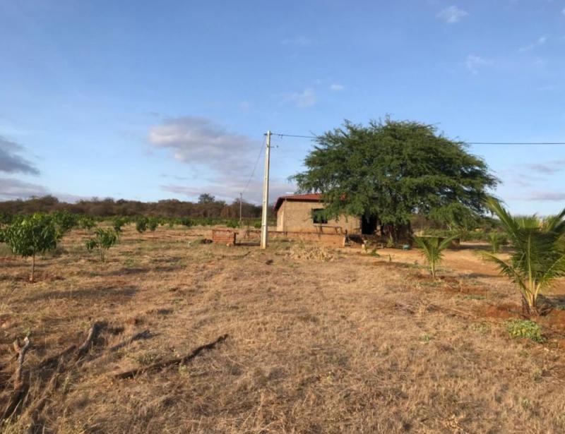 Polícia Federal e CIPE fazem operação contra o tráfico de drogas em Livramento