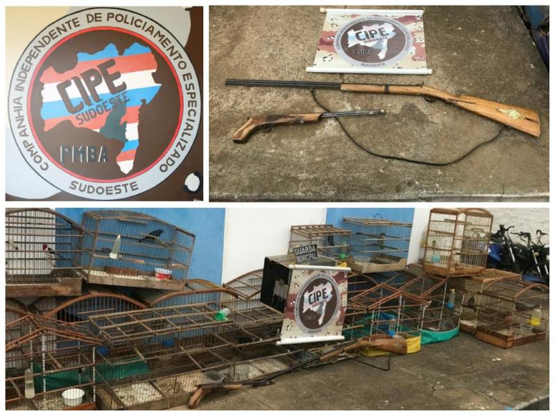 Licínio de Almeida: Cipe Sudoeste apreende armas e animais silvestres em cativeiro