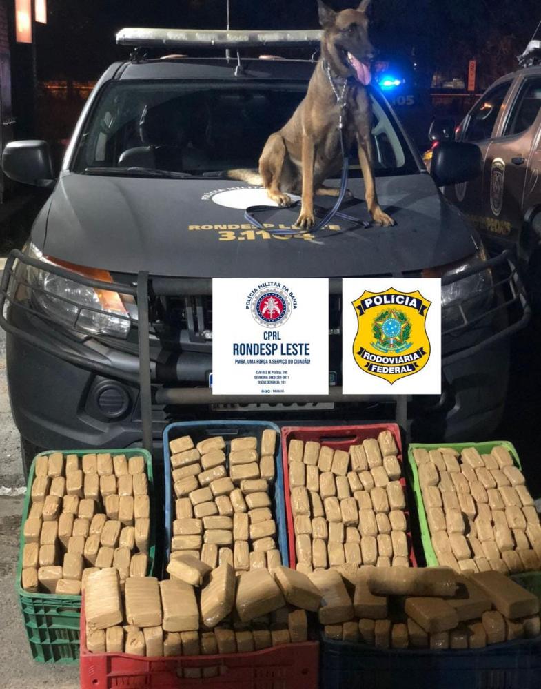 Mais de 150kg de maconha são apreendidos em fundo falso de caminhão