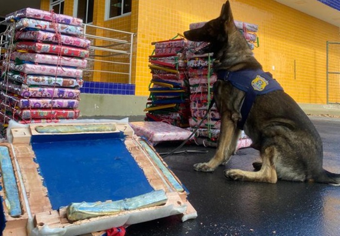 PRF apreende 53 Kg de maconha durante abordagem a ônibus em Vitória da Conquista