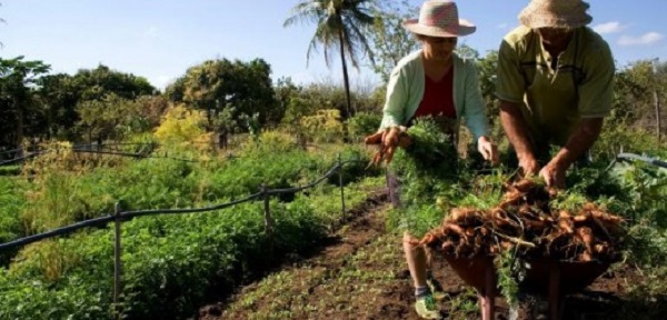 Técnicos são capacitados em alimentação e nutrição para potencializar desenvolvimento rural da Bahia