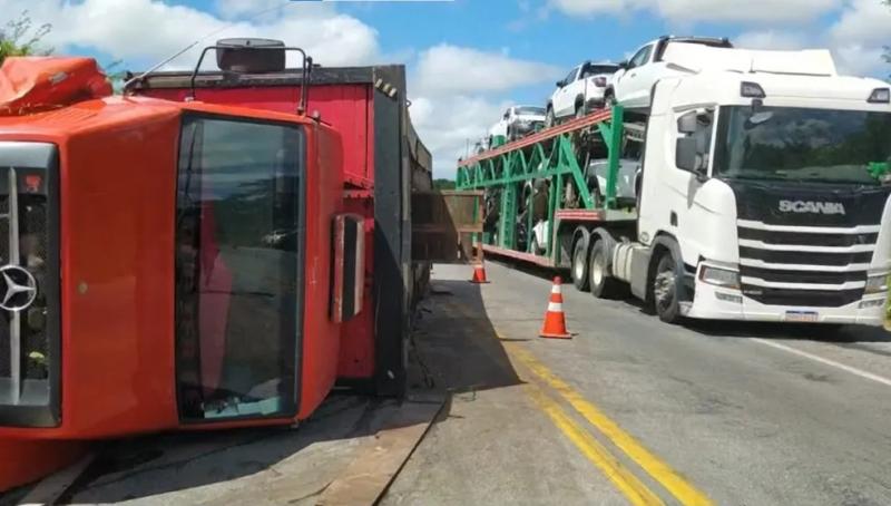 Carreta com porcos tomba na BR-116 e animais são saqueados