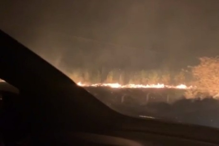 Incêndio atinge área de plantação de eucaliptos em Barra do Choça