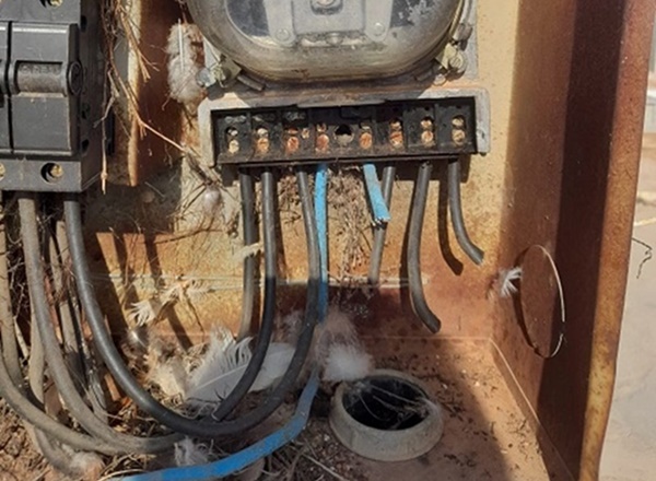 Criminosos furtam fios de energia do Cemitério Jardim Santa Inês em Brumado