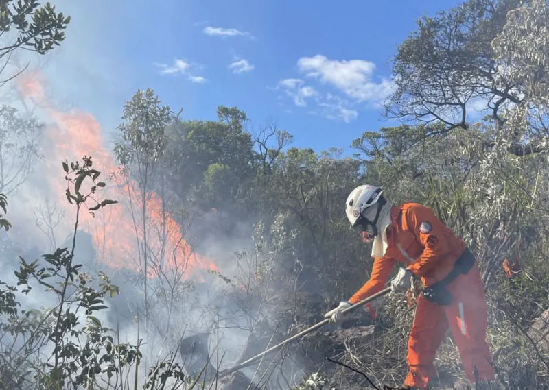 Bahia registra 74 focos de incêndio nos primeiros 3 dias de dezembro