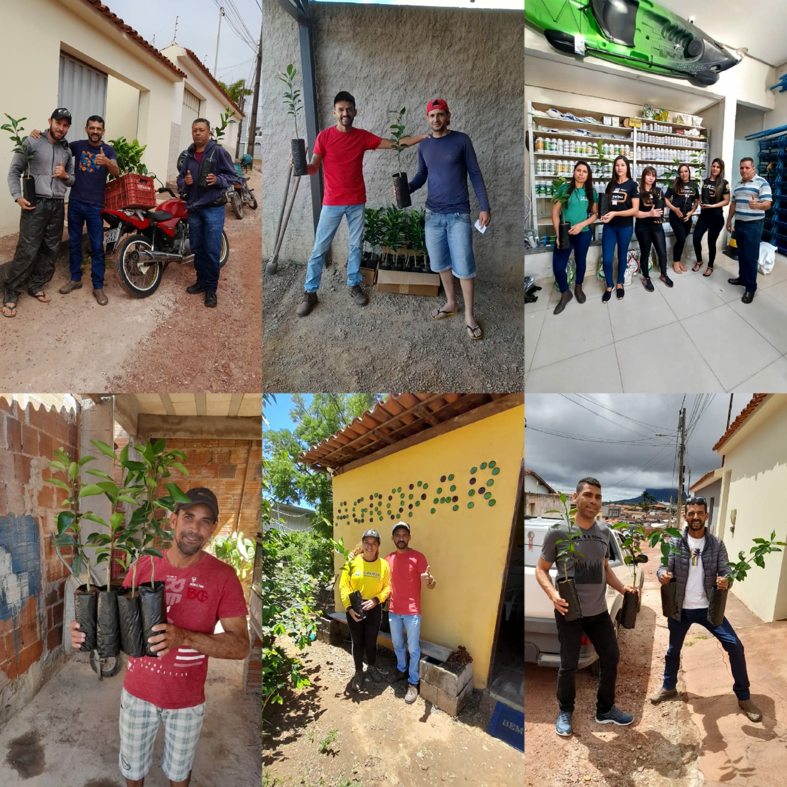 Sergipe Citrus inicia comercialização de mudas na Chapada Diamantina e Sudoeste da Bahia