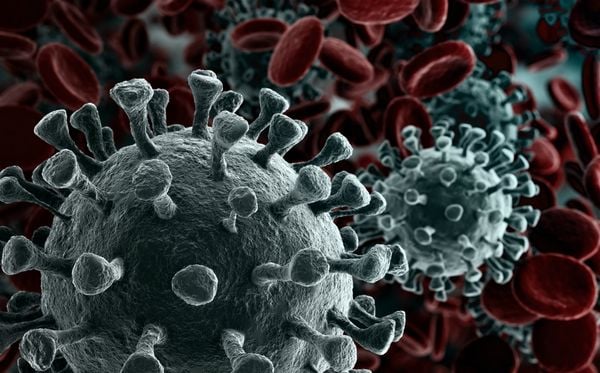 Nova subvariante da covid-19 é identificada em Mato Grosso