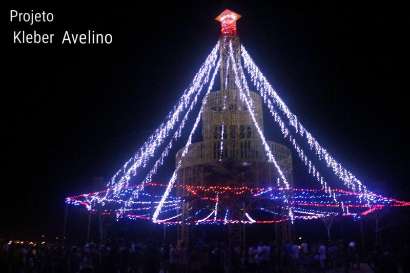 Doutor Saúde: visitem a maior e a única árvore de Natal do Brasil onde as pessoas entram na árvore