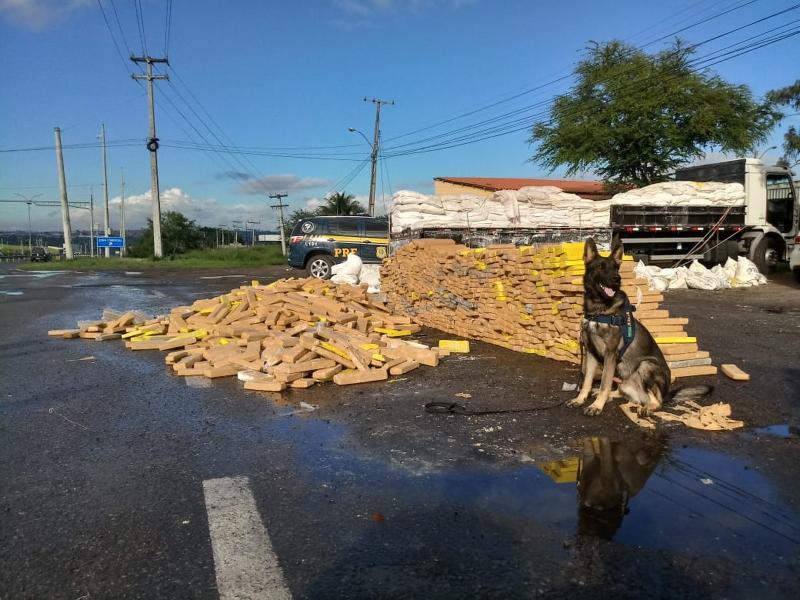 Caminhoneiro é detido na Bahia com mais de 3 toneladas de maconha escondidas em carga de farinha