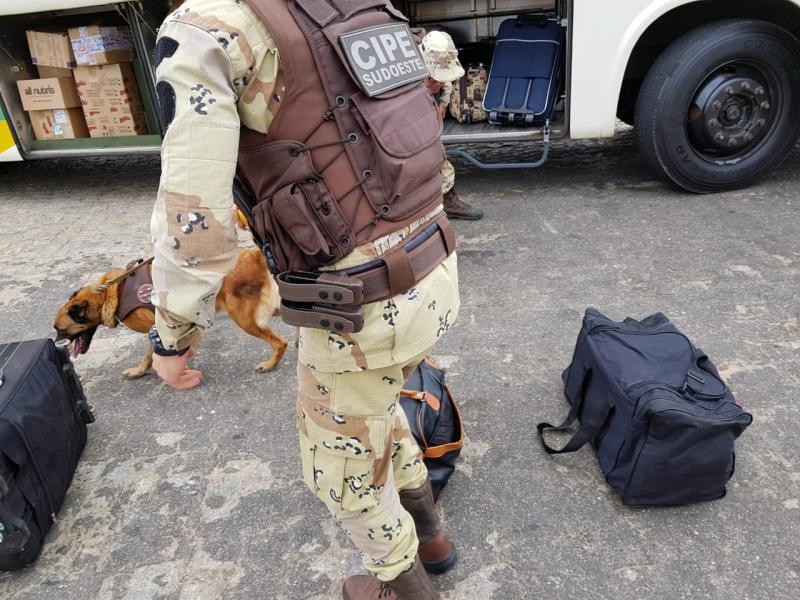 CIPE Sudoeste intensifica ações com cães no combate ao tráfico de drogas, armas e explosivos no Sudoeste Baiano