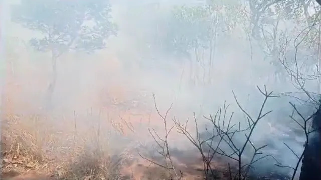 Com temperaturas próximas de 40°C, incêndio florestal atinge a Serra do Mimo, no oeste da Bahia