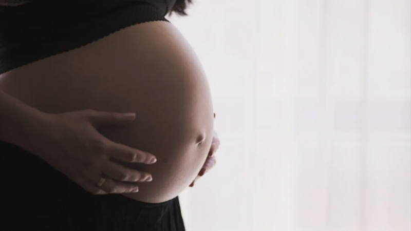 Conselho Federal de Medicina proíbe médico de realizar aborto em gestação acima de 22 semanas