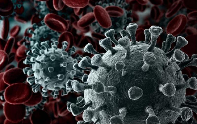 Mais de 50% da população quer julgamentos por mortes de Covid-19