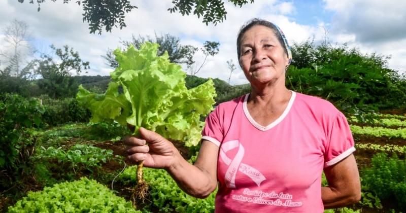 Governo da Bahia confirma adesão a garantia safra de 2020: 'Agricultor não sofrerá dano'