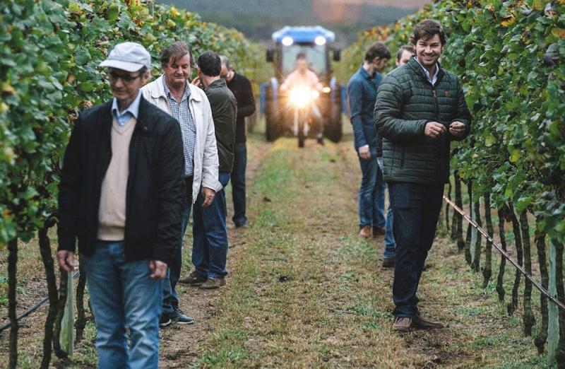 Vinícola sustentável será inaugurada na Chapada Diamantina