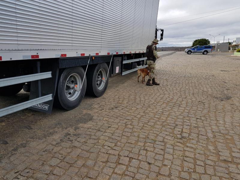 CIPE Sudoeste intensifica ações com cães no combate ao tráfico de drogas, armas e explosivos no Sudoeste Baiano