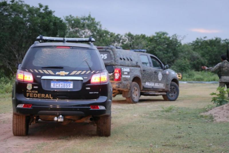 PM e PF desmontam roça de maconha em sítio usado de fachada como criação de caprinos e ovinos