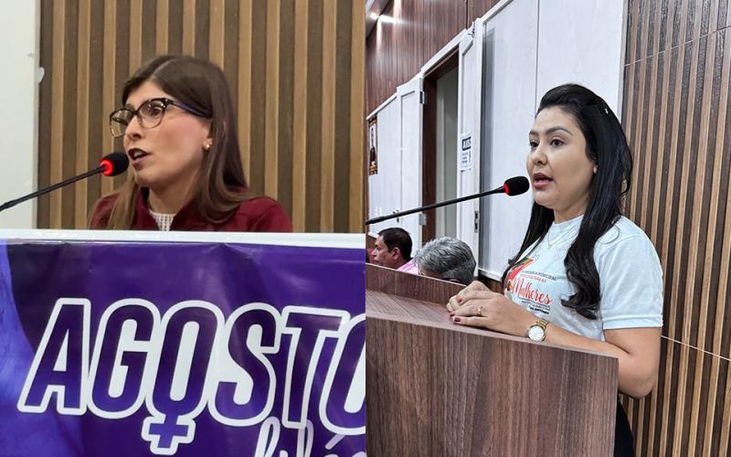 Integrantes da Assistência Social de Rio do Antônio faz abordagem sobre o tema Agosto Lilás na câmara