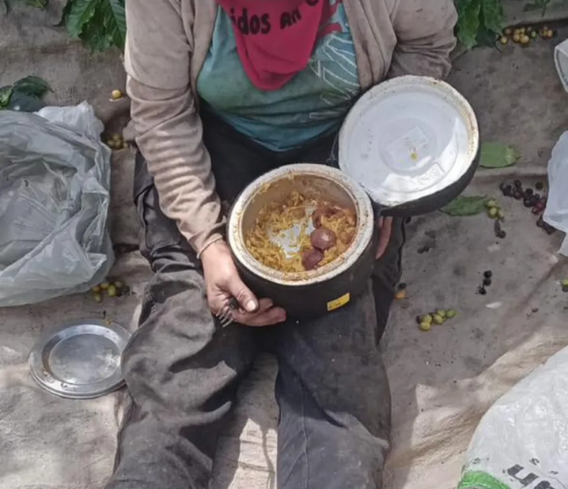 25 pessoas são resgatadas de trabalho similar ao de escravo em fazenda de Encruzilhada 