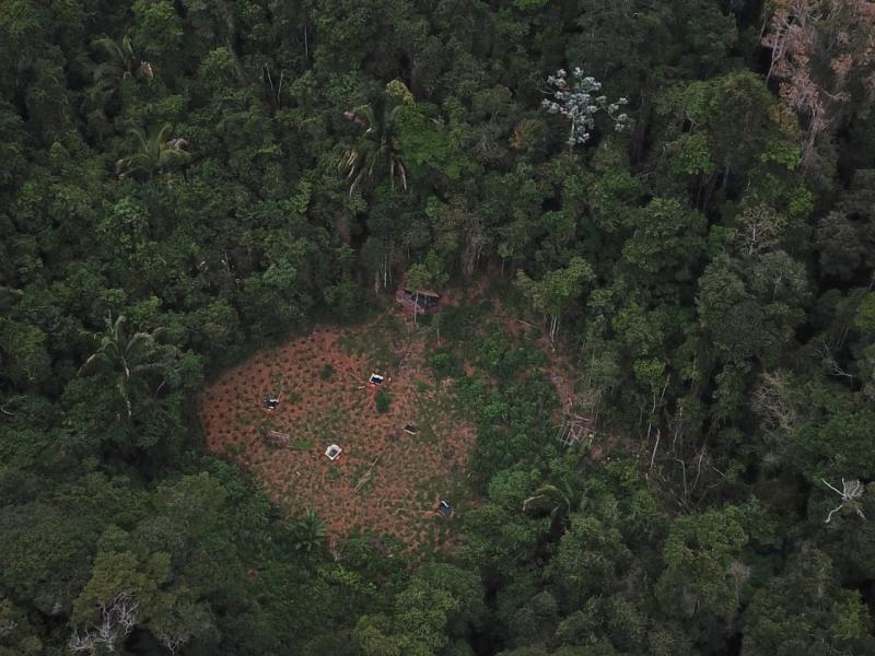 Com apoio de drone, PM e PC localizam cerca de 4 toneladas de maconha na Bahia 