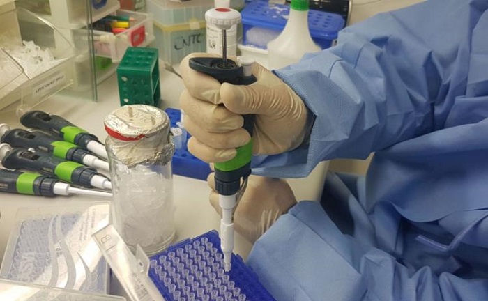 Mulheres e crianças infectadas por Zika desenvolvem imunidade ao vírus