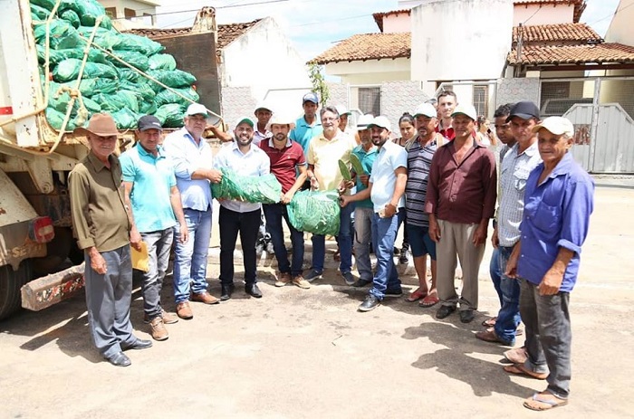Rio do Antônio: Secretaria de Agricultura distribuiu 50 mil mudas de palma forrageira para agricultores familiares hoje, 21