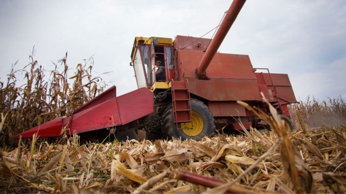 PIB do agronegócio da Bahia mantém crescimento apesar da queda nos preços
