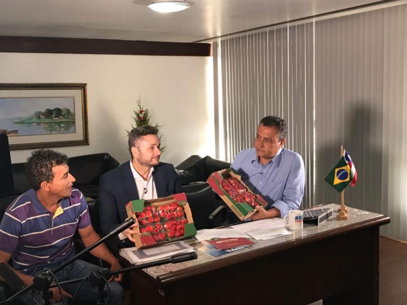 Morango de Barra da Estiva é destaque no programa ‘Papo Correria’ de Rui Costa