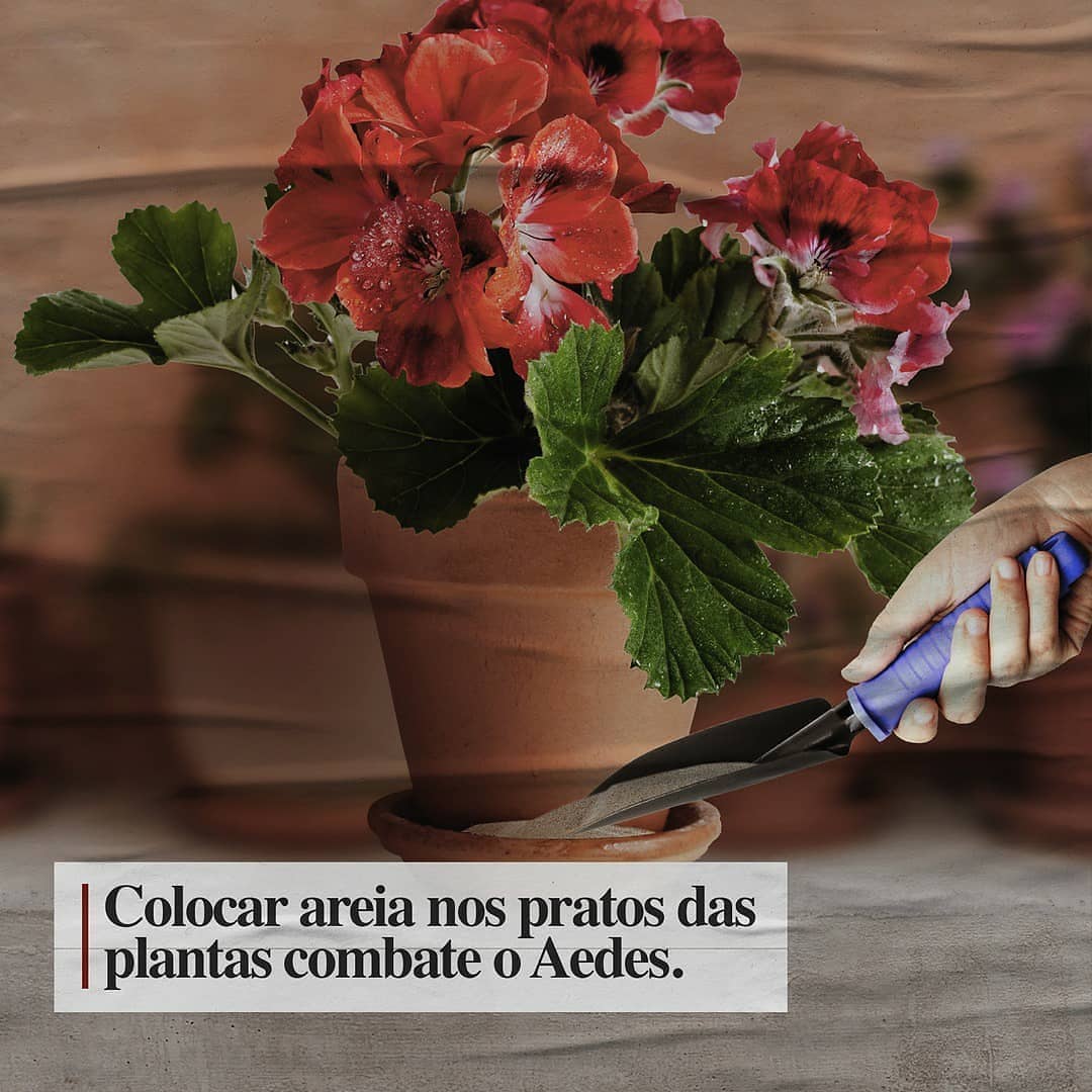  Rio do Antônio: Prefeitura alerta para necessidade de prevenção contra a Dengue e Covid-19