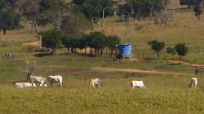 Denúncia de roubo de gado é feita por moradores da zona rural de Vitória da Conquista 
