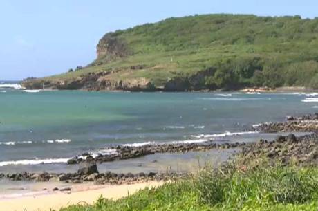 Turista perde parte do braço após ser mordido por tubarão em Fernando de Noronha