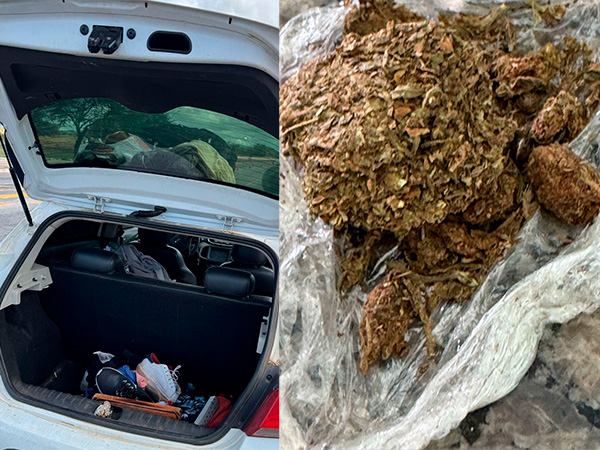 Tanhaçu: Polícia apreende droga durante abordagem de veículo na  BA - 026