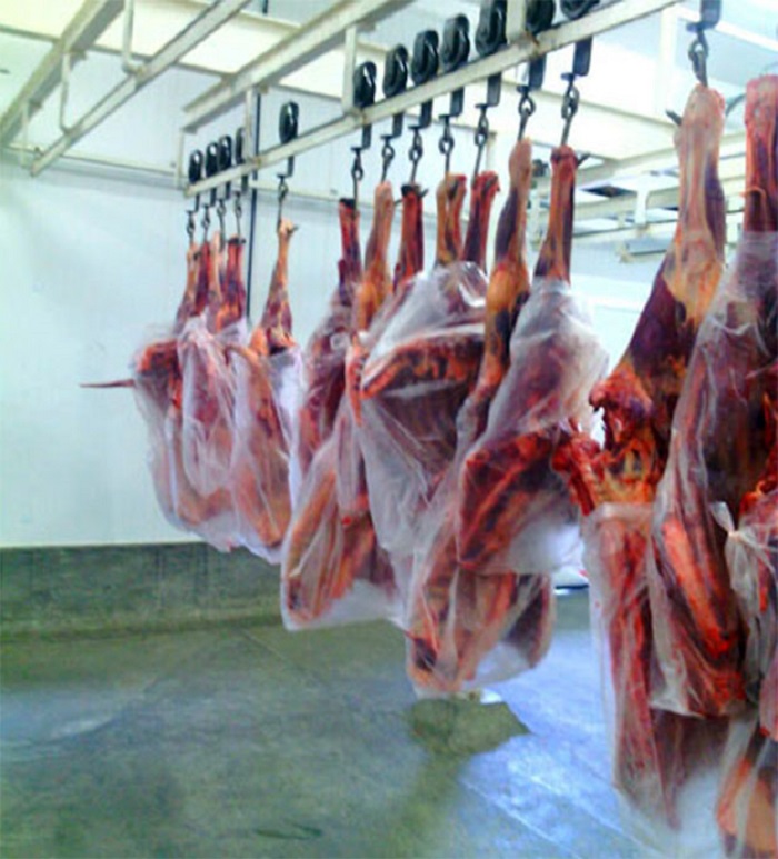 Bahia: Adab regulamenta procedimentos para abate de jumentos