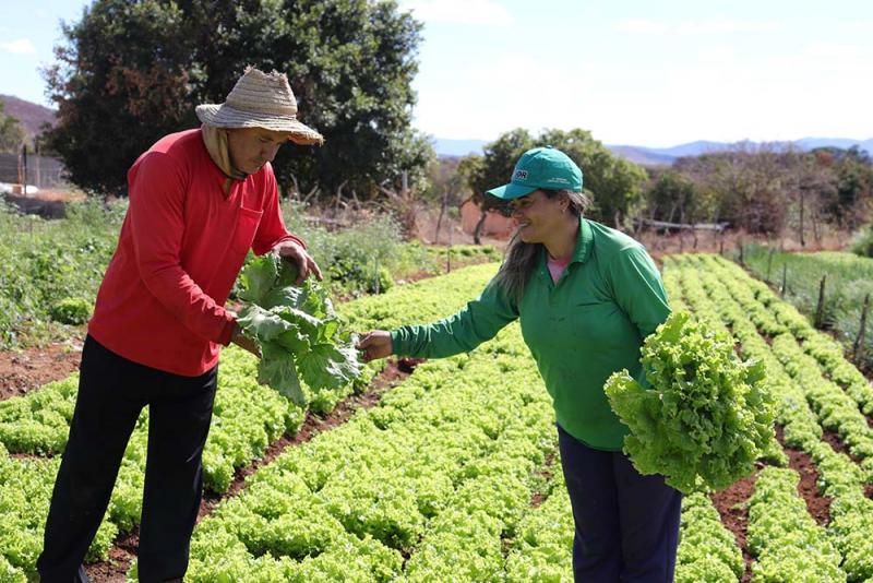 Veja o vídeo: Feira da Agricultura Familiar e Economia Solidária de Brumado terá início neste sábado (7)