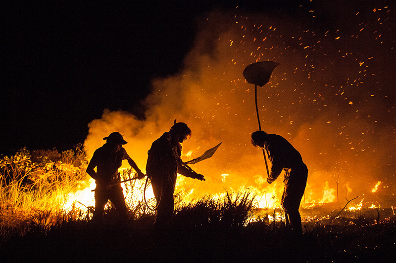 Corpo de Bombeiros lançará operação contra incêndios na Bahia