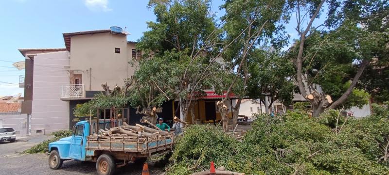 Prefeitura de Brumado emite nota de esclarecimento sobre poda indevida em praça no Bairro das Flores