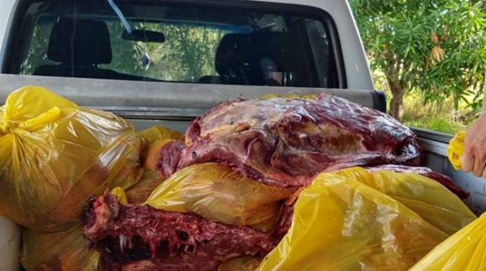 Mais de uma tonelada de carne de cavalo é apreendida em Jequié