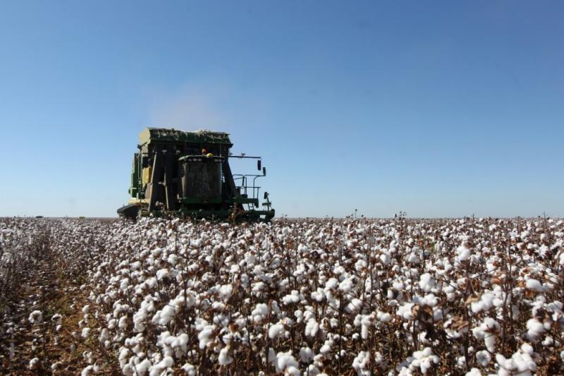 Bahia domina o agronegócio nordestino, com oito cidades entre as 100 mais ricas do agro no Brasil