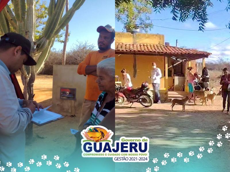 Mais de 400 animais foram vacinados contra a raiva em Guajeru