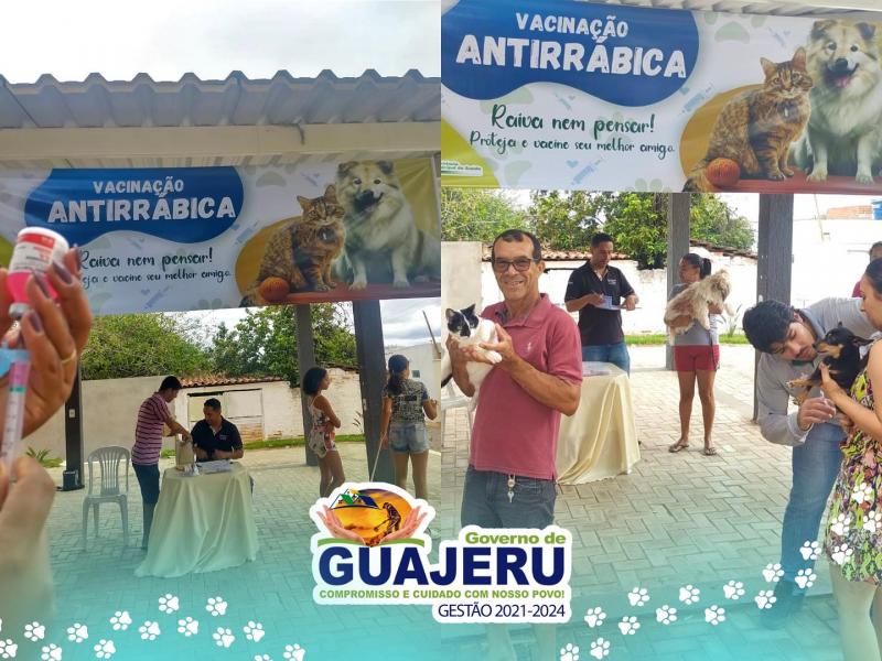 Mais de 400 animais foram vacinados contra a raiva em Guajeru