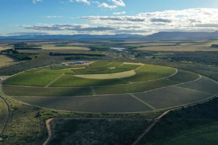 Vinícola sustentável será inaugurada na Chapada Diamantina