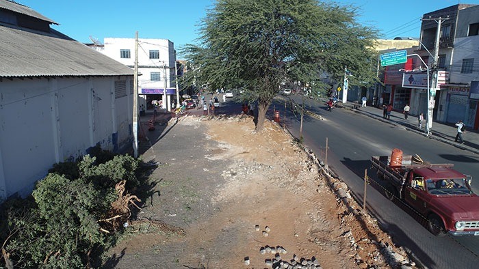 Prefeitura de Brumado emite nota sobre derrubada de árvores para a revitalização da Av. Dr. Antônio Mourão Guimarães